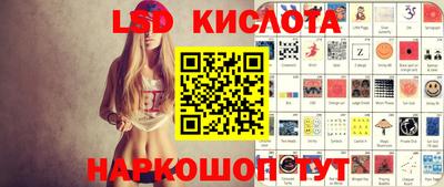 индика Сланцы
