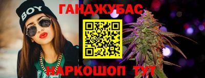 индика Сланцы