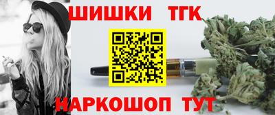 индика Сланцы