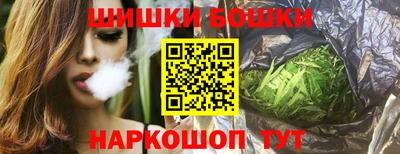 индика Сланцы