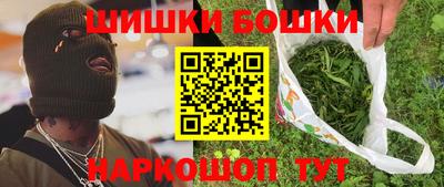 индика Сланцы