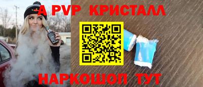 индика Сланцы