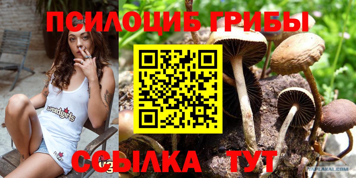 Галлюциногенные грибы Cubensis  Вход с VPN  где продают   Богородицк 
