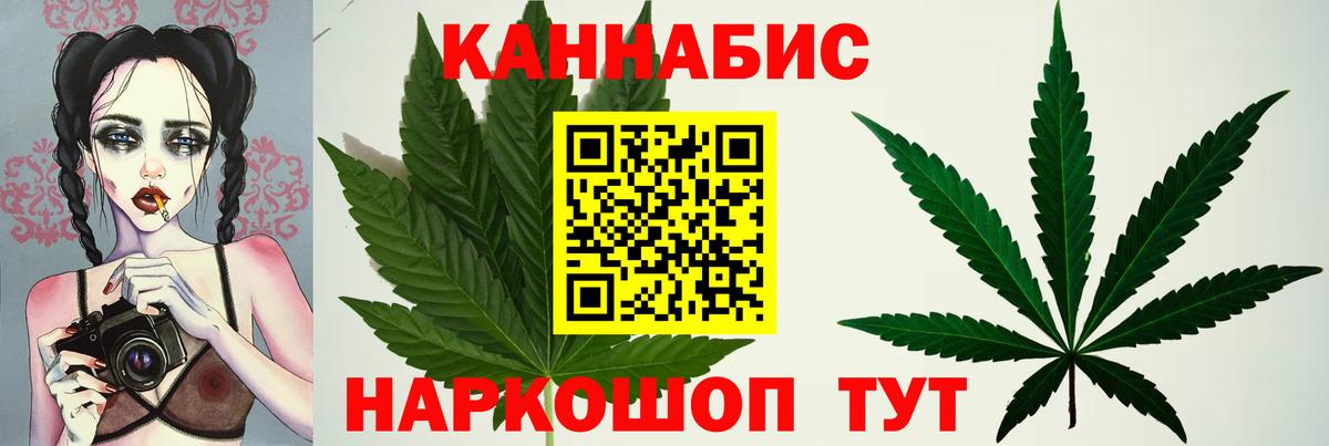 Конопля план Богородицк